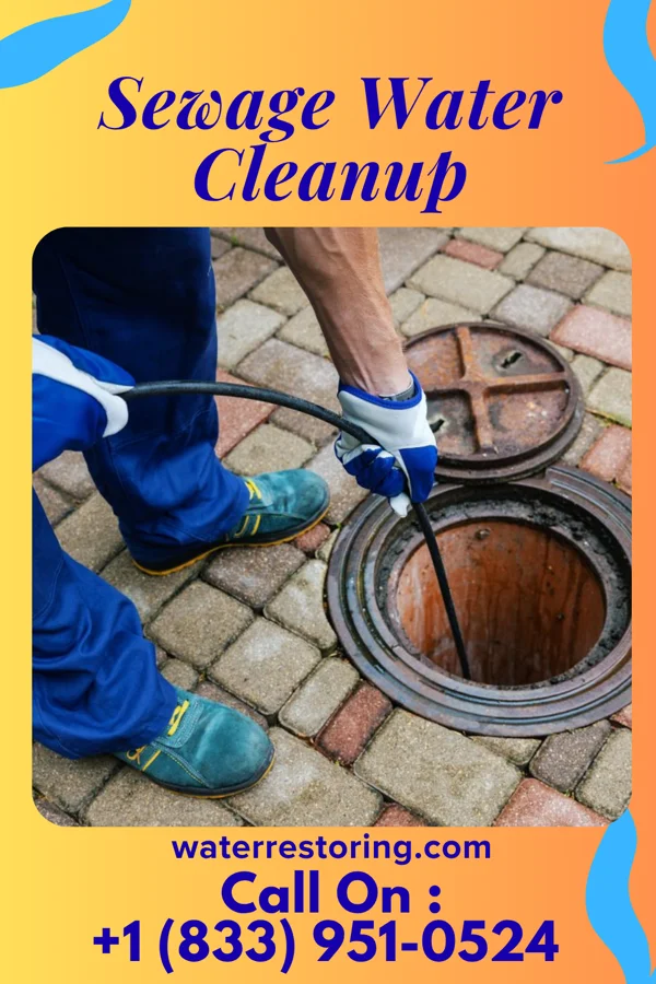 Sewage Water Cleanup in Lakeside, CO
