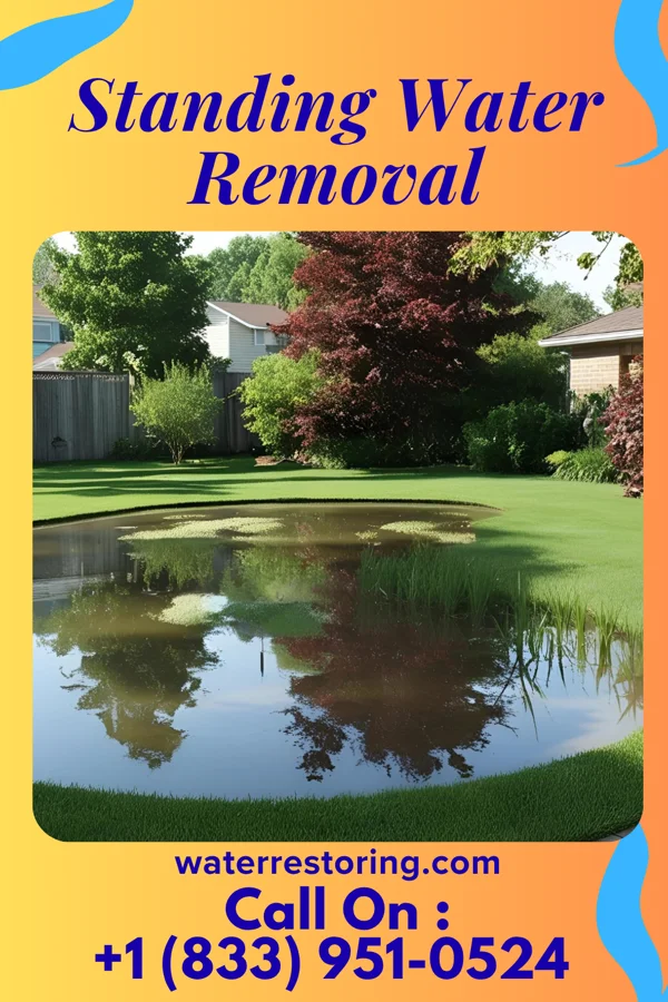 Standing Water Removal in Lakeside, CO